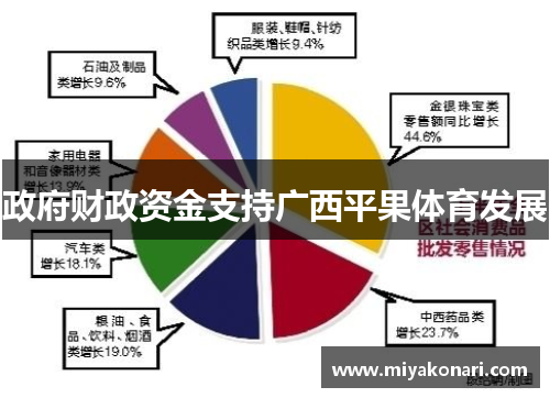 政府财政资金支持广西平果体育发展